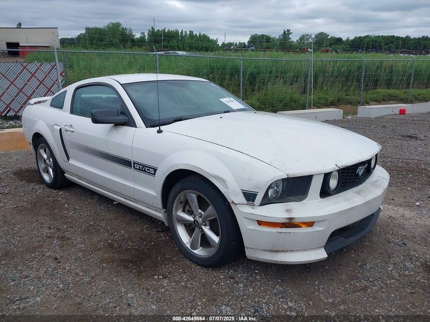 2008 FORD MUSTANG VIN: 1ZVHT82H585175903