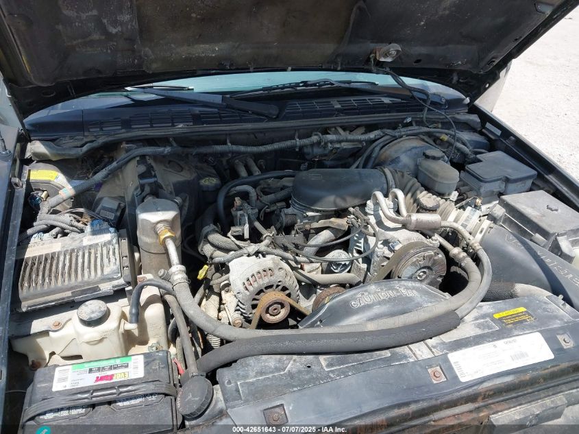 1999 Oldsmobile Bravada VIN: 1GHDT13W8X2704177 Lot: 42651643