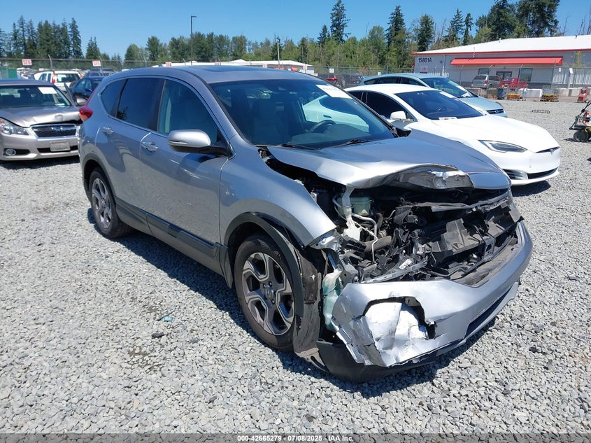 7FARW1H56KE031712 2019 Honda Cr-V Ex auction photo 1