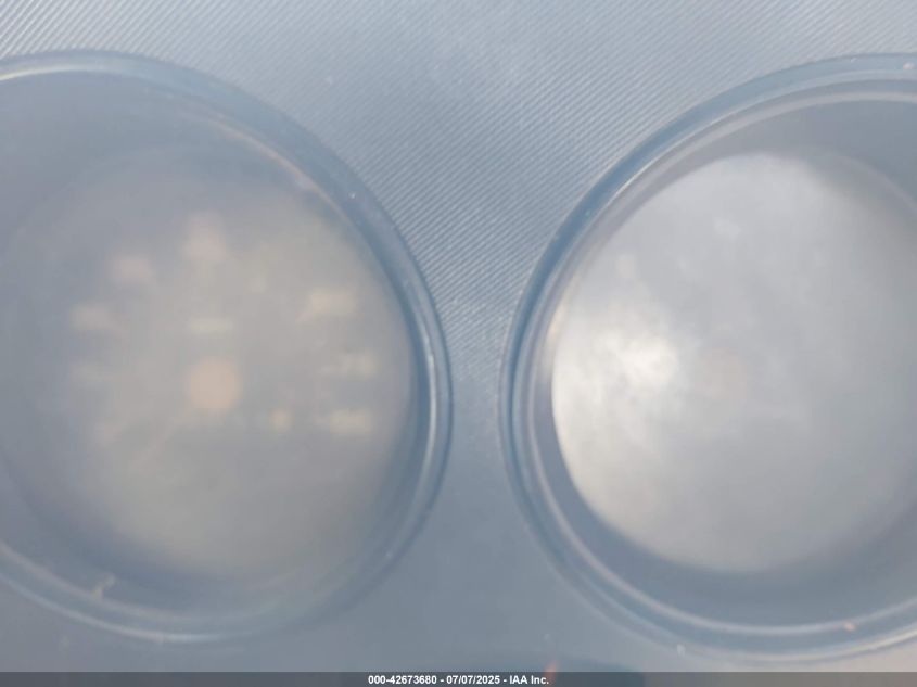 1980 Chevrolet C10 VIN: CCD14AA122534 Lot: 43979790