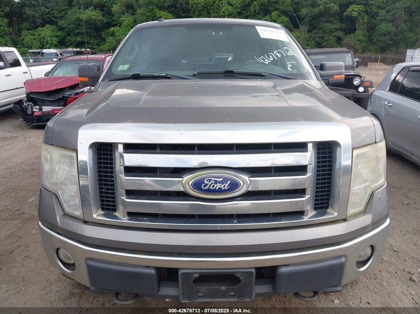 2010 Ford F-150 Stx/Xl/Xlt VIN: 1FTEX1E83AFB21674 Lot: 42678712
