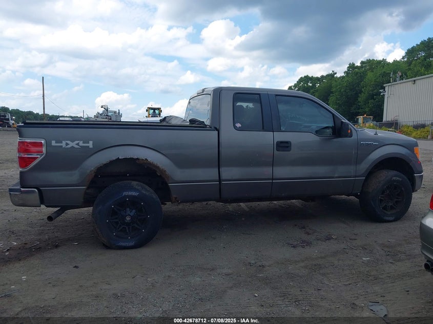 2010 Ford F-150 Stx/Xl/Xlt VIN: 1FTEX1E83AFB21674 Lot: 42678712