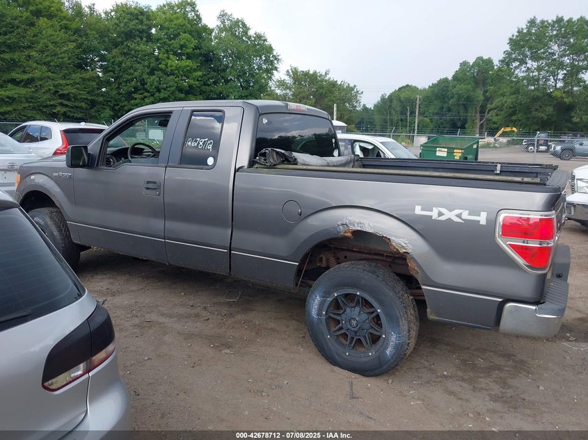 2010 Ford F-150 Stx/Xl/Xlt VIN: 1FTEX1E83AFB21674 Lot: 42678712