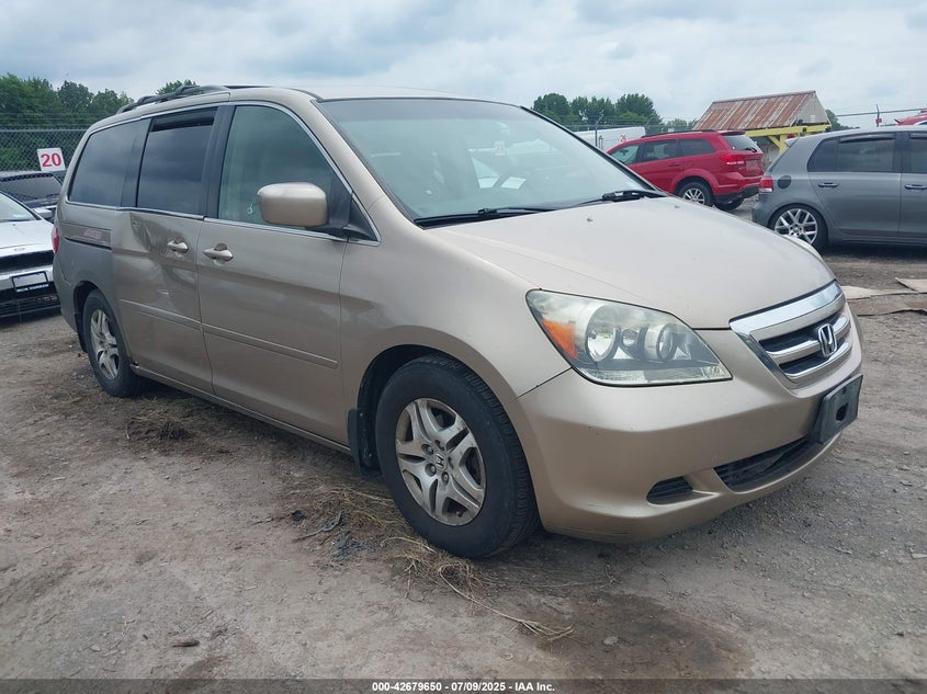 5FNRL384X5B402382 2005 Honda Odyssey Ex auction photo 1