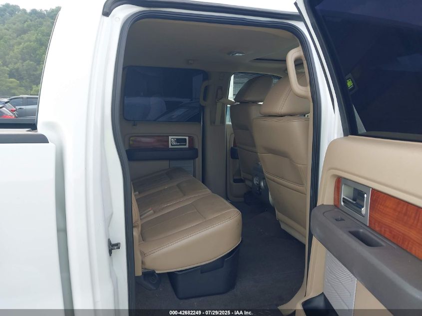 2009 Ford F-150 Fx4/King Ranch/Lariat/Platinum/Xl/Xlt VIN: 1FTPW14V99FA46896 Lot: 42682249