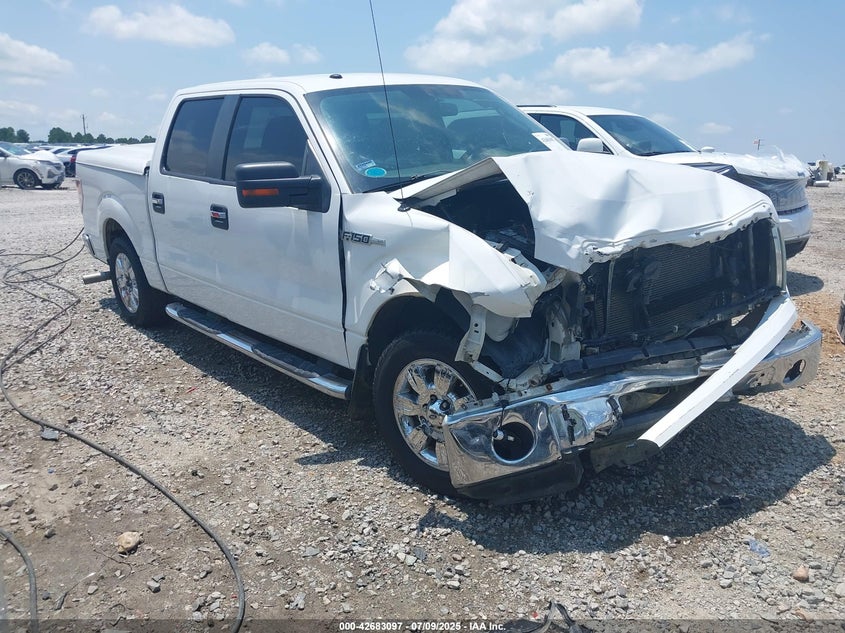 1FTEW1C84AFA44769 2010 Ford F-150 Fx2 Sport/Xl/Xlt auction photo 1