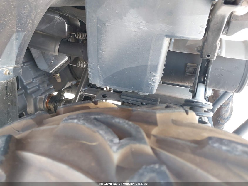 2025 KAWASAKI KVF450 A - RGSWR32A1SB110186