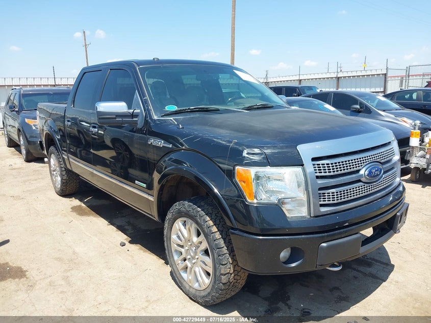 FORD F-150 PLATINUM
