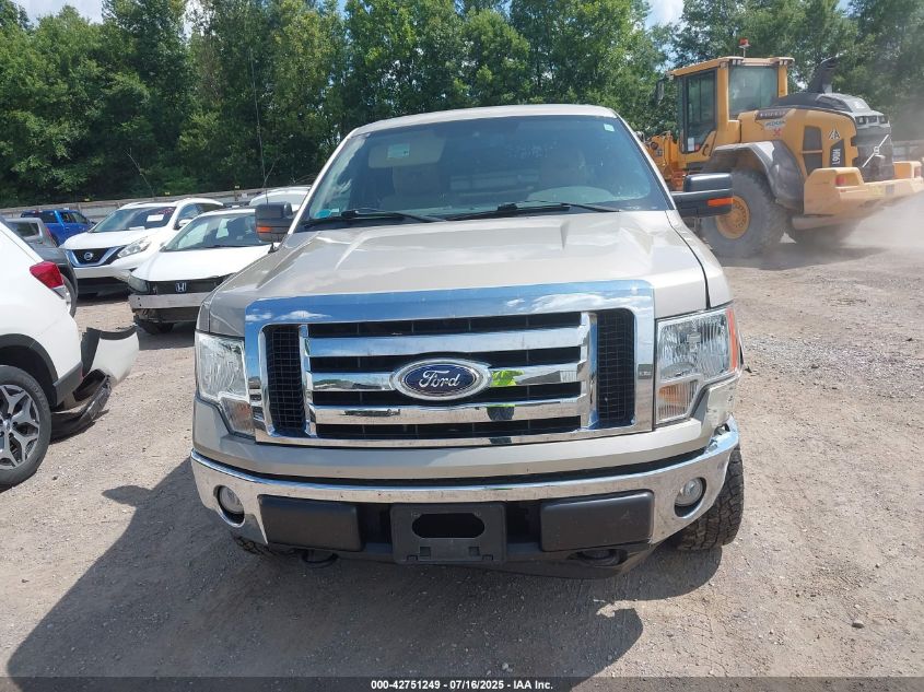 2010 Ford F-150 Fx4/Lariat/Xl/Xlt VIN: 1FTFX1EV8AFC46552 Lot: 42751249