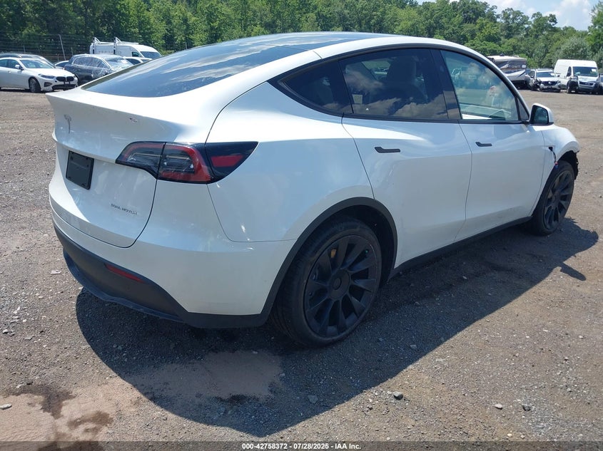 2023 TESLA MODEL Y U   U(VIN: 7SAYGDEE4PF866924