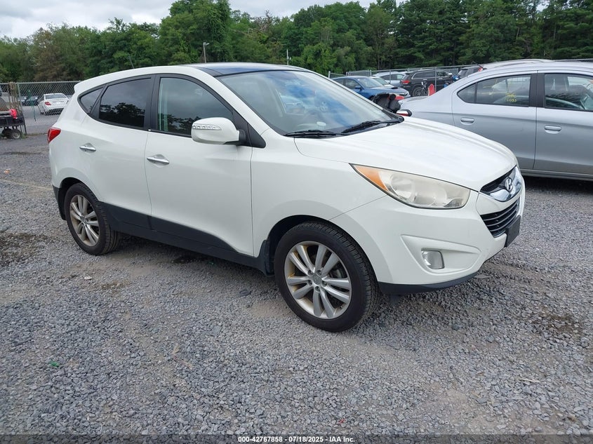 KM8JU3AC5AU080422 2010 Hyundai Tucson Limited auction photo 1