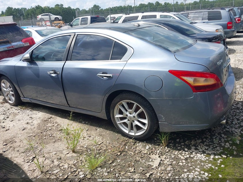 2010 Nissan Maxima 3.5 Sv VIN: 1N4AA5AP0AC819896 Lot: 42768704