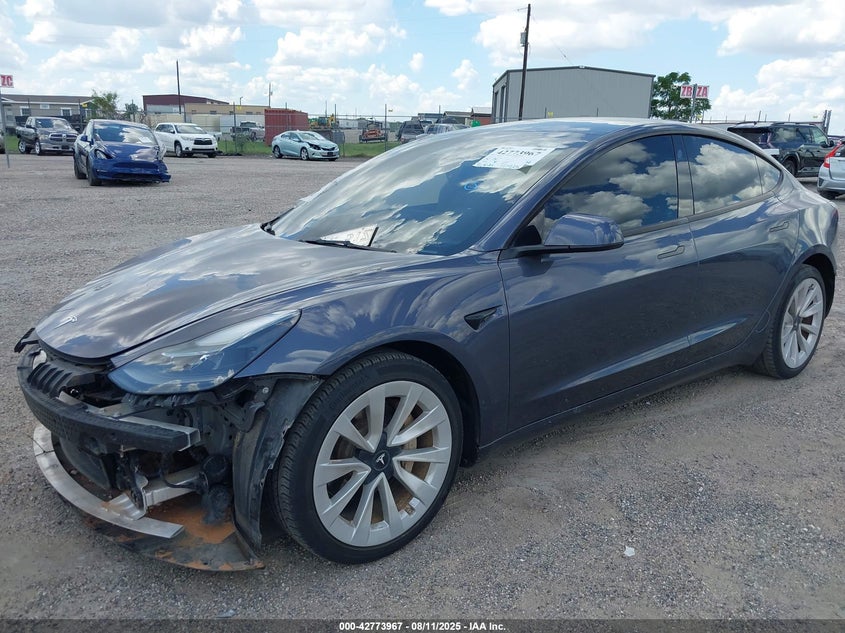 2023 Tesla Model 3 Rear-Wheel Drive VIN: 5YJ3E1EA6PF446672 Lot: 42773967