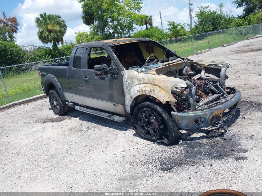 1FTFX1EV3AFB06568 2010 Ford F-150 Xlt auction photo 1