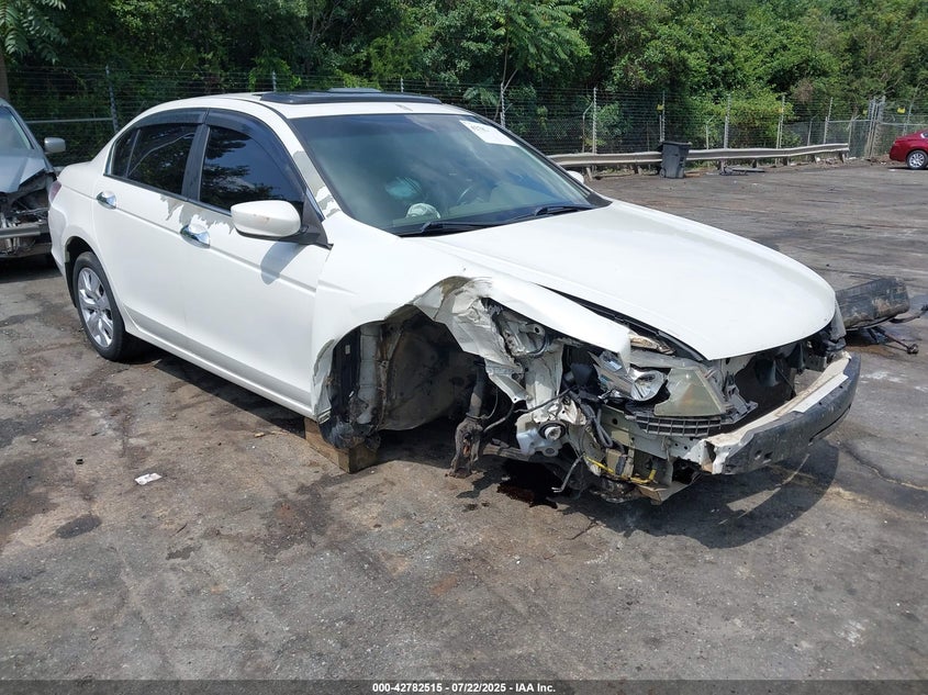 5KBCP3F85AB001205 2010 Honda Accord 3.5 Ex-L auction photo 1