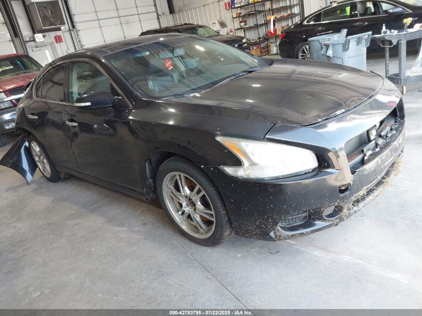 NISSAN MAXIMA 3.5 SV