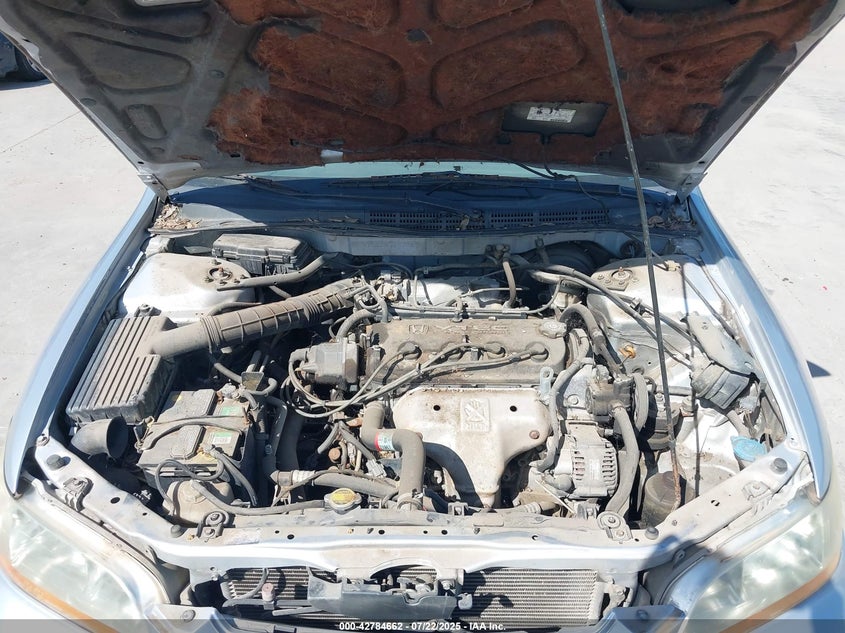 1998 Honda Accord Lx VIN: 1HGCG5643WA186816 Lot: 42784662