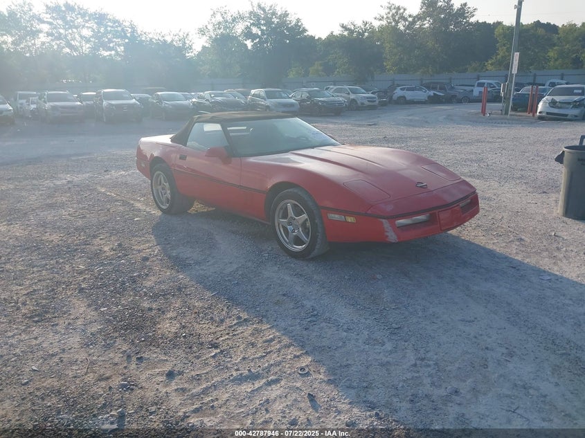 1G1YY3180K5111843 1989 Chevrolet Corvette auction photo 1