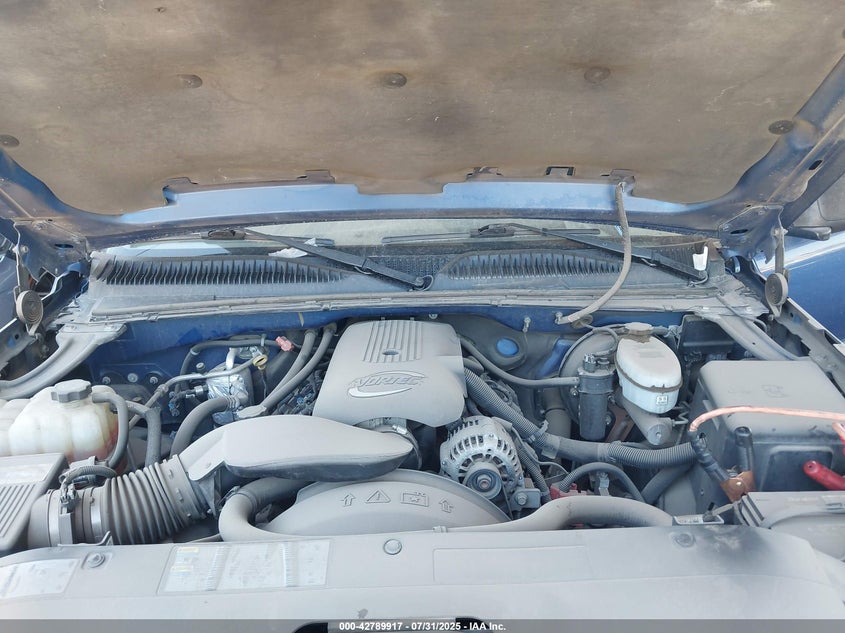 2003 Chevrolet Silverado 1500 Ls VIN: 1GCEK19T33E201675 Lot: 42789917