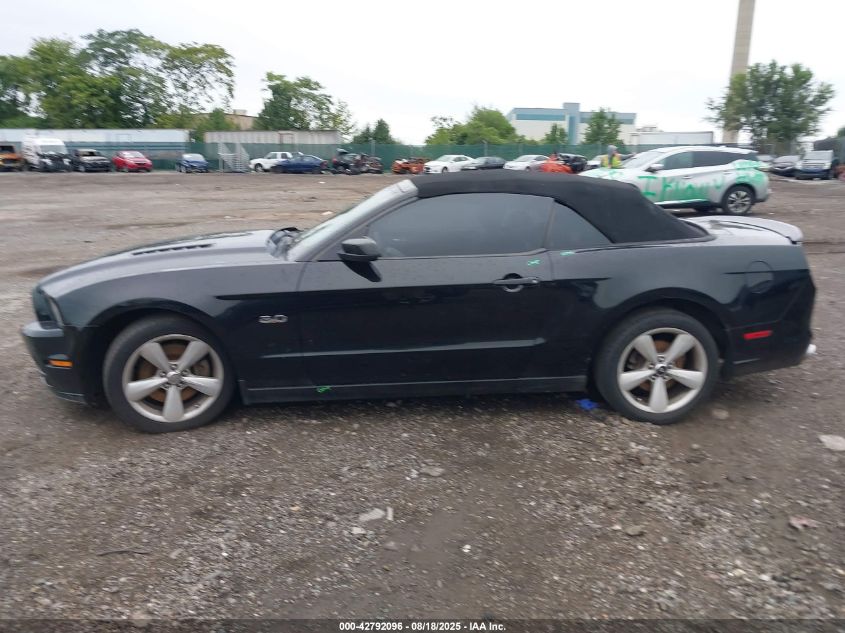 2013 Ford Mustang Gt Premium VIN: 1ZVBP8FF9D5242869 Lot: 42792096