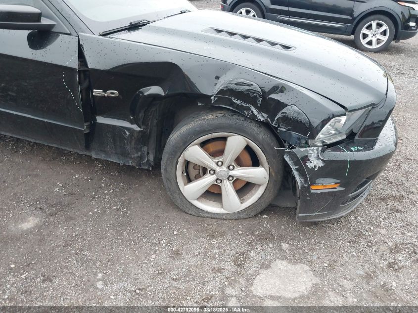 2013 Ford Mustang Gt Premium VIN: 1ZVBP8FF9D5242869 Lot: 42792096
