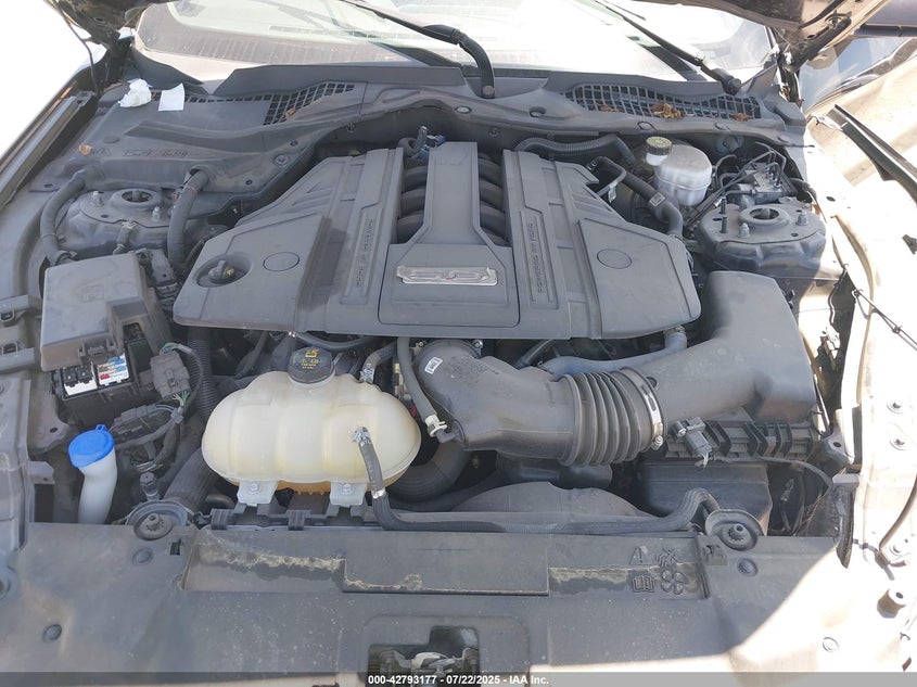 2021 FORD MUSTANG GT FASTBACK - 1FA6P8CF3M5153295