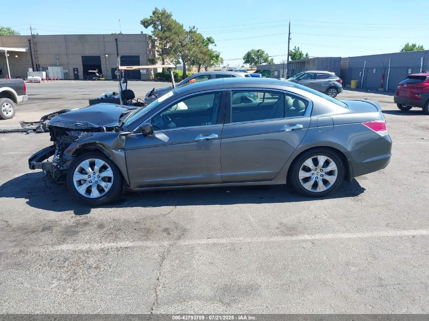 2010 Honda Accord 3.5 Ex-L VIN: 1HGCP3F83AA010221 Lot: 42793789