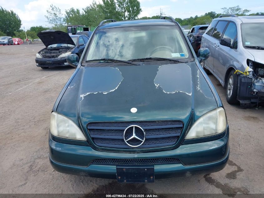 2000 Mercedes-Benz Ml 320 VIN: 4JGAB54E1YA185629 Lot: 42796434