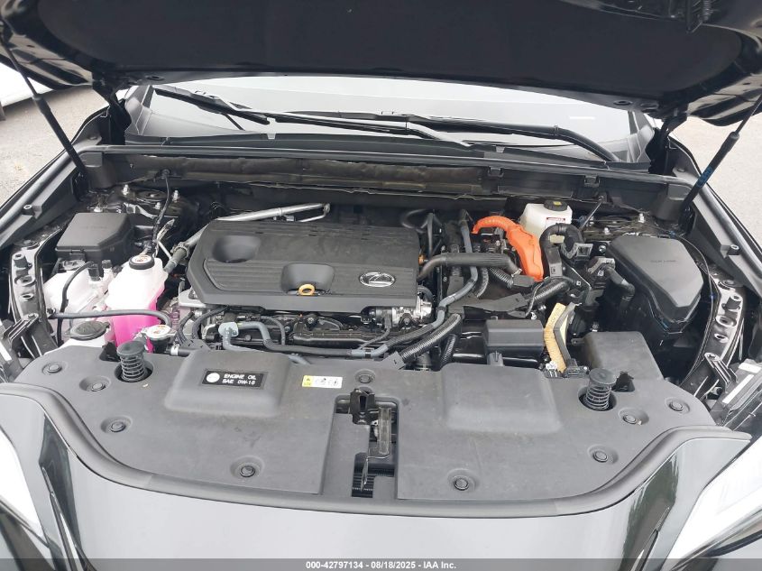 2025 Lexus NX 350h - 2T2GKCEZ8SC051624
