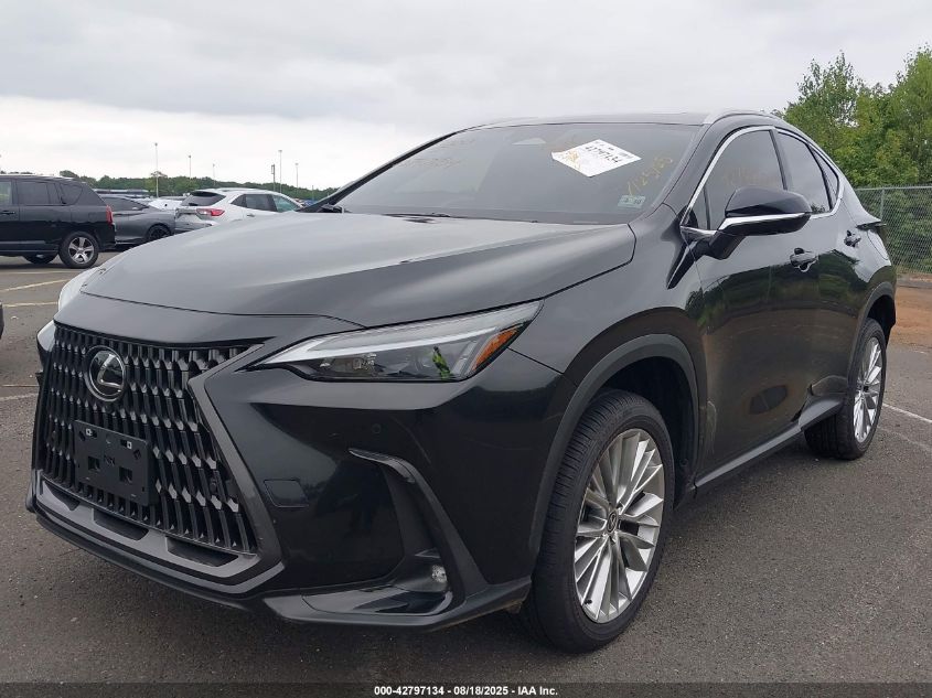 2025 Lexus NX 350h - 2T2GKCEZ8SC051624