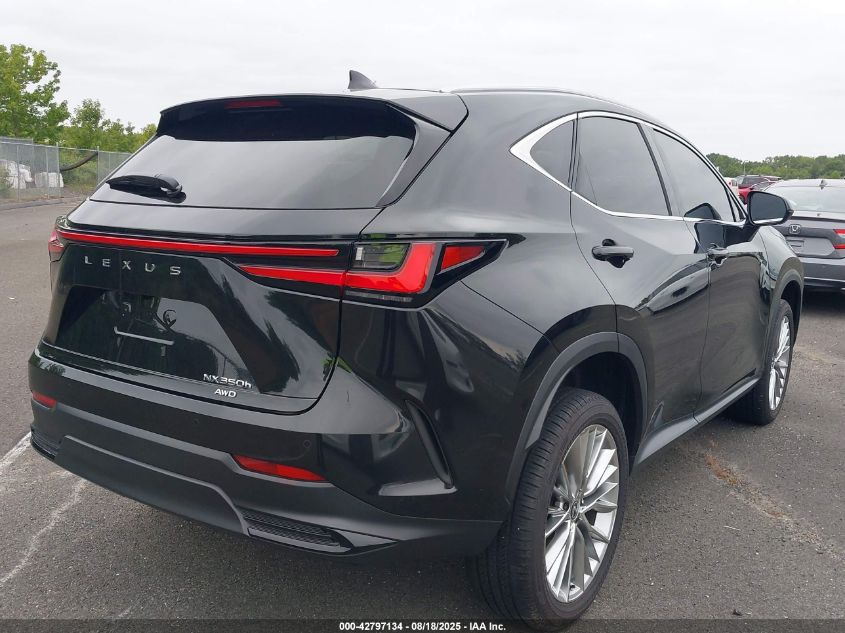 2025 Lexus NX 350h - 2T2GKCEZ8SC051624