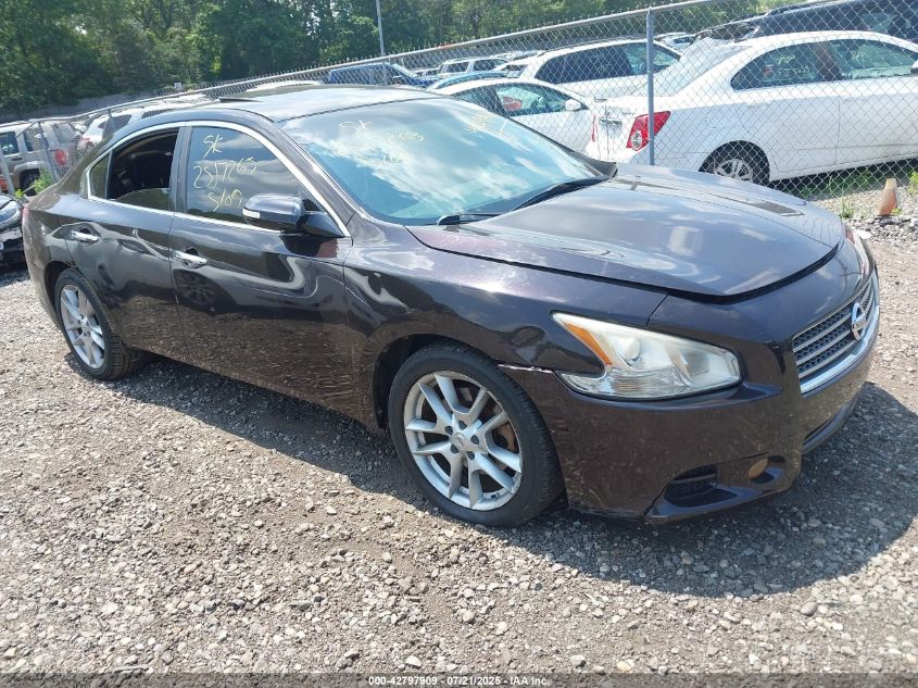 NISSAN MAXIMA 3.5 SV