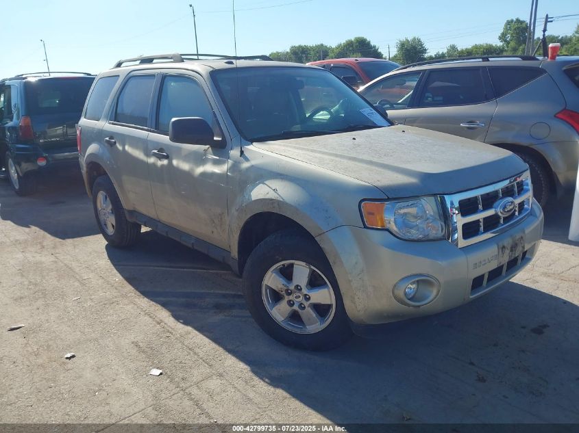 FORD ESCAPE XLT