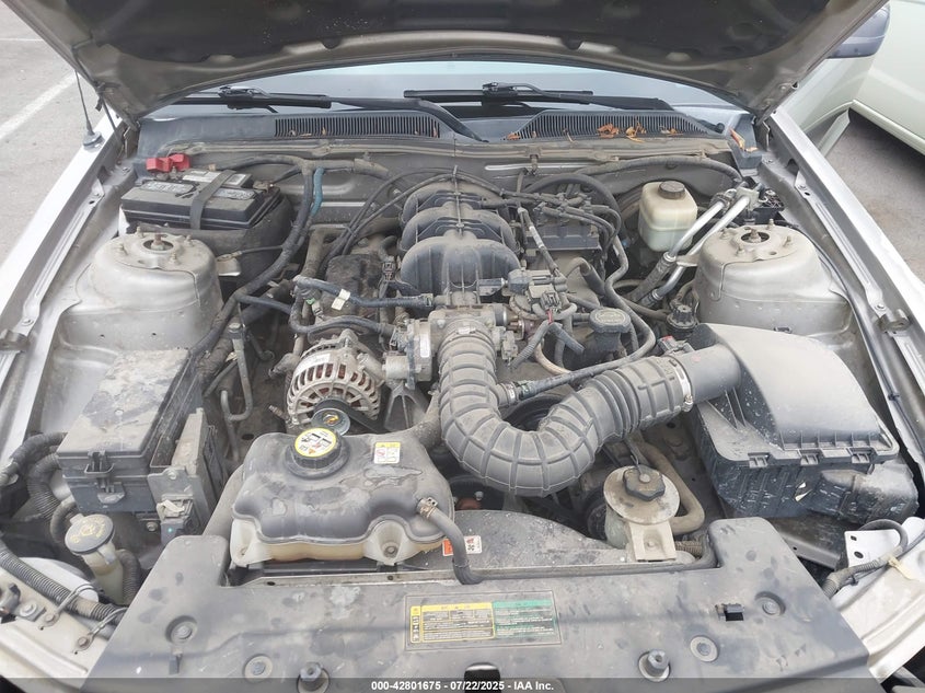 2005 Ford Mustang VIN: 1ZVHT80NX5172410 Lot: 42801675