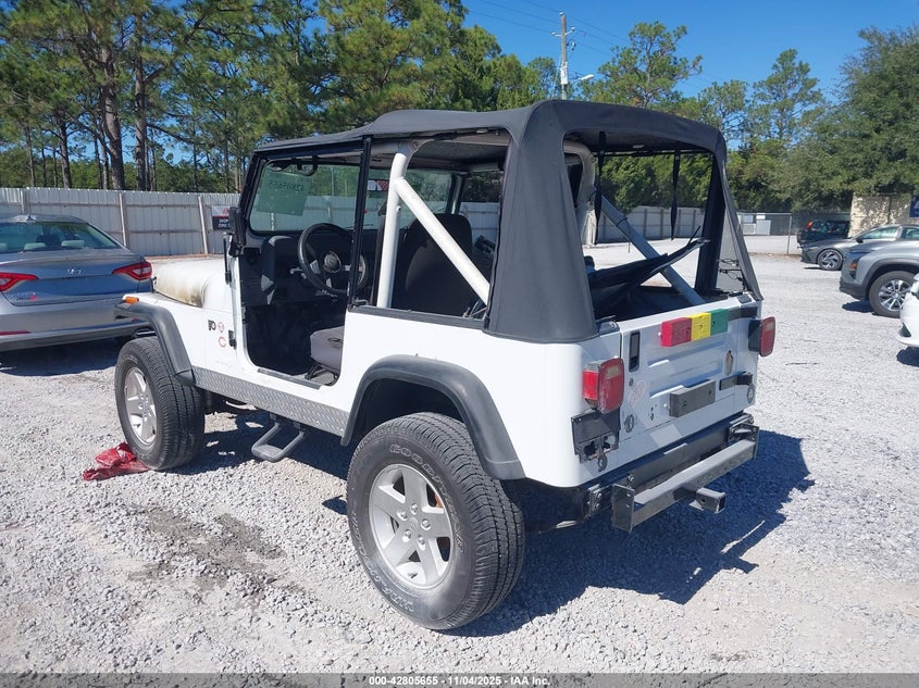2J4FY19E3LJ506965 1990 JEEP WRANGLER photo no. 3