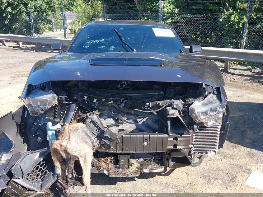 2024 FORD MUSTANG GT PREMIUM FASTBACK - 1FA6P8CF5R5402154