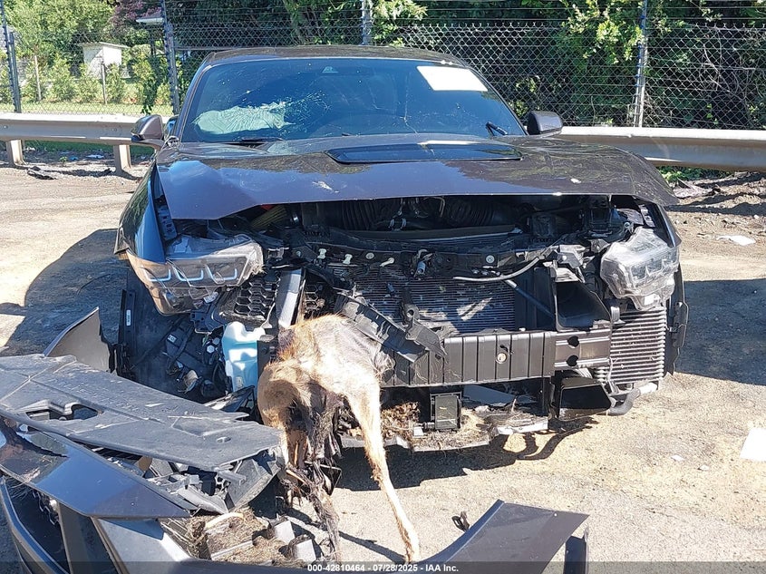 2024 FORD MUSTANG GT PREMIUM FASTBACK - 1FA6P8CF5R5402154