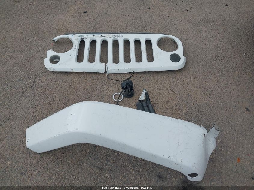 2016 Jeep Wrangler Unlimited Rubicon Hard Rock VIN: 1C4HJWFG9GL305805 Lot: 42813555