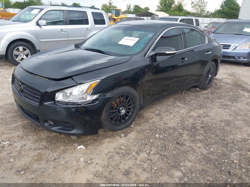 2010 Nissan Maxima 3.5 Sv VIN: 1N4AA5AP2AC862605 Lot: 42814836