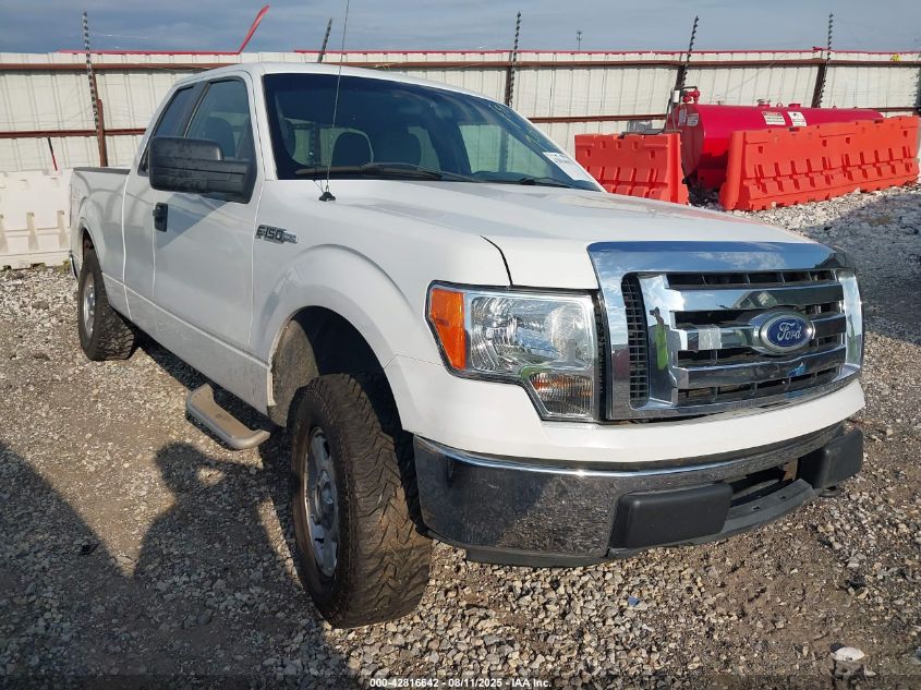 FORD F-150 FX4/LARIAT/XL/XLT