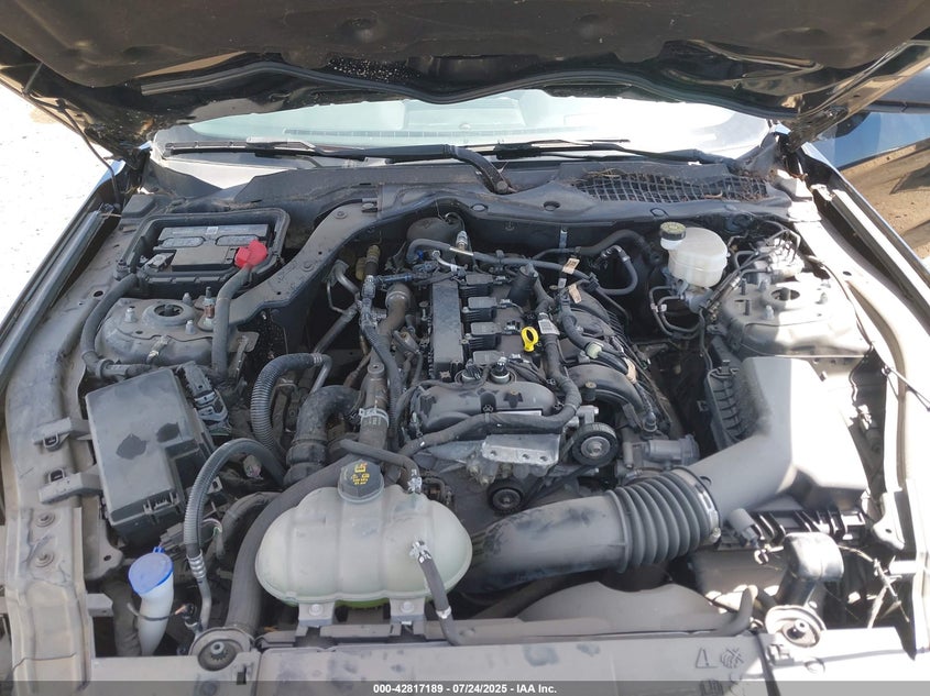 2021 FORD MUSTANG ECOBOOST FASTBACK - 1FA6P8TH3M5105345