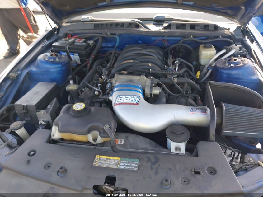 2008 Ford Mustang Gt Deluxe/Gt Premium VIN: 1ZVHT85H885203687 Lot: 42817524