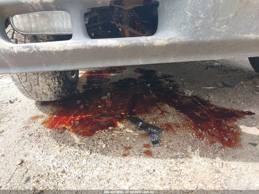 2002 Chevrolet Silverado 1500 Ls VIN: 1GCEK19T72E176388 Lot: 42818862