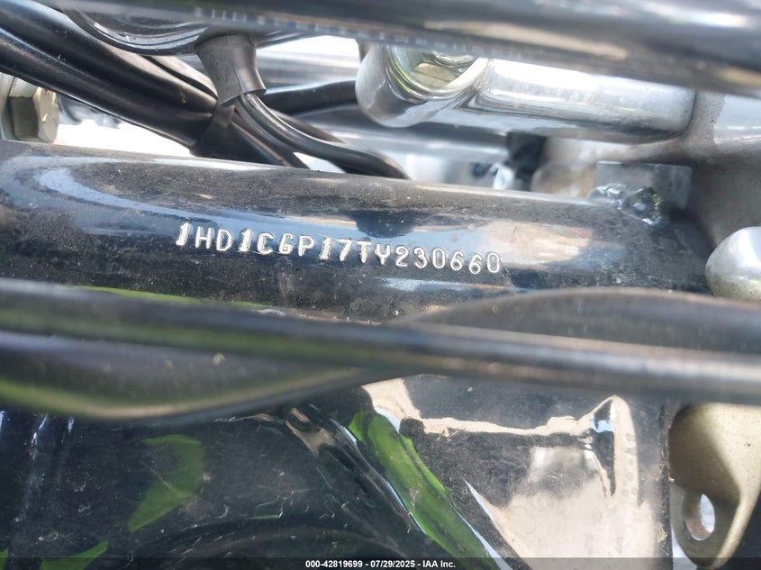 1996 Harley-Davidson Xl1200 C VIN: 1HD1CGP17TY230660 Lot: 42819699