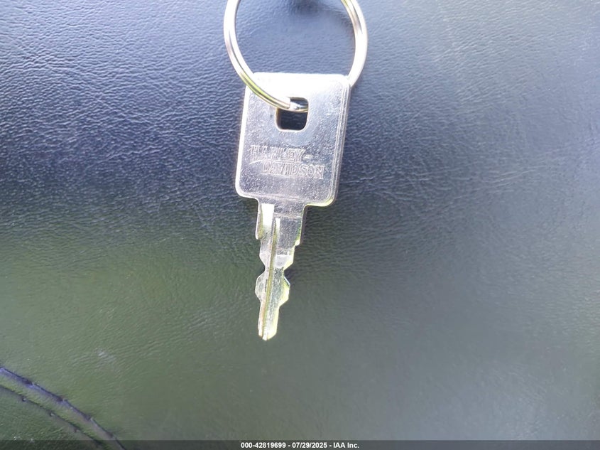 1996 Harley-Davidson Xl1200 C VIN: 1HD1CGP17TY230660 Lot: 42819699