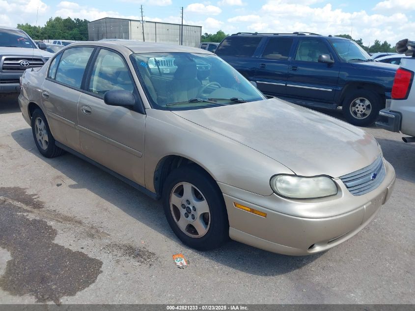 2005 Chevrolet Classic VIN: 1G1ND52F55M203306 Lot: 42821233