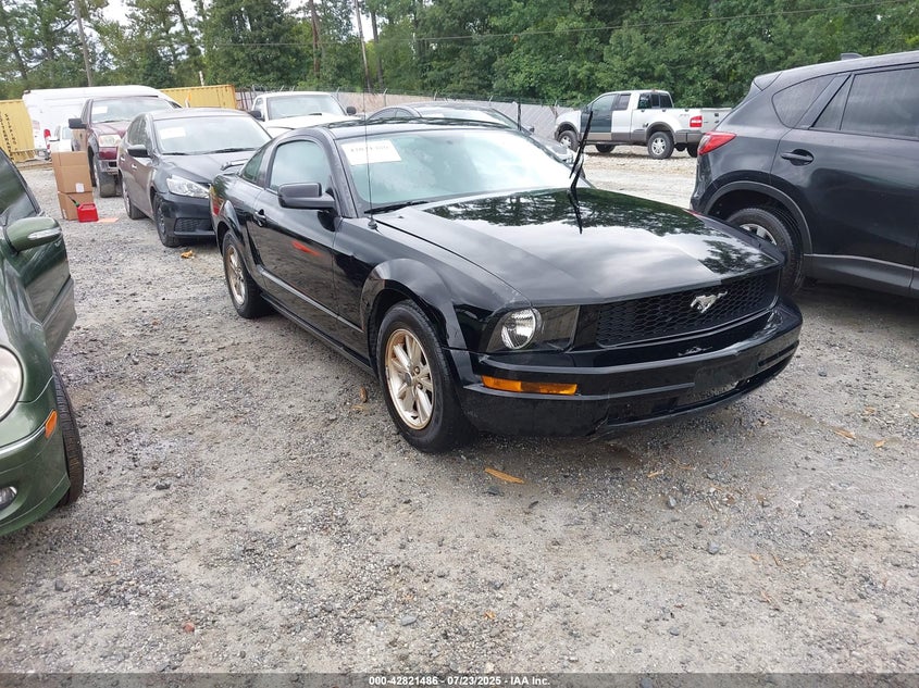 1ZVFT80N965250048 2006 Ford Mustang V6 auction photo 1
