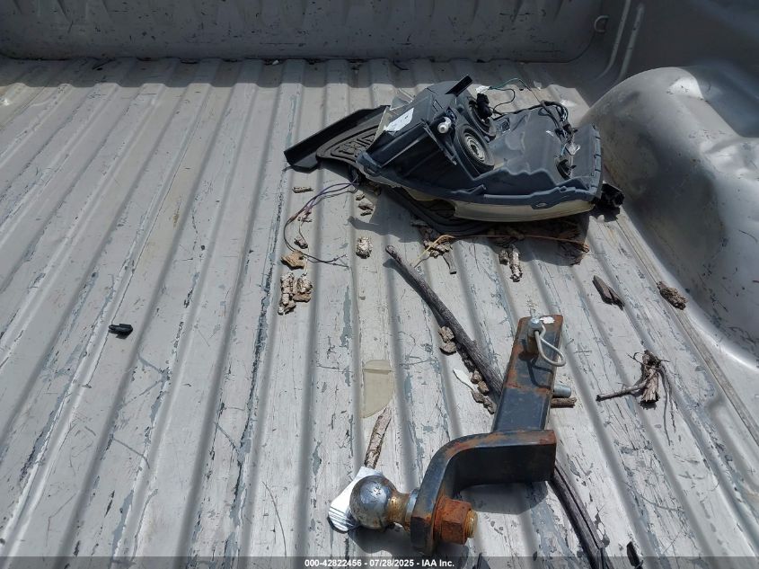 2009 Chevrolet Silverado 1500 Work Truck VIN: 3GCEC13C59G200907 Lot: 42822456