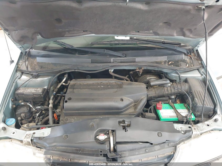 2003 Honda Odyssey Ex VIN: 5FNRL18673B121336 Lot: 42823459