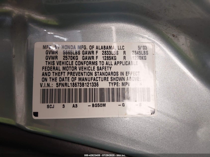 2003 Honda Odyssey Ex VIN: 5FNRL18673B121336 Lot: 42823459